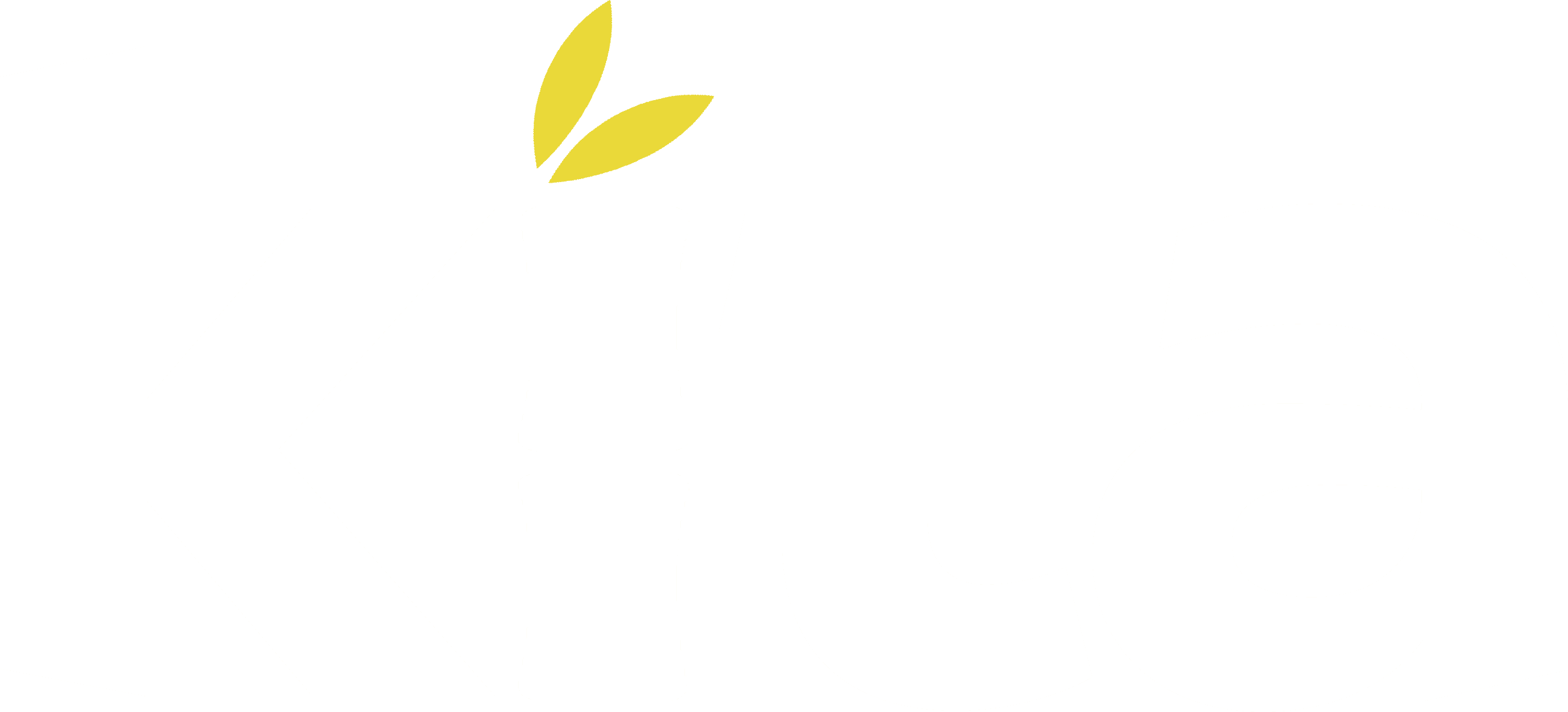 Kita